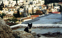 Athens